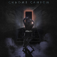 Director [Vinyl] - Paladin Vinyl