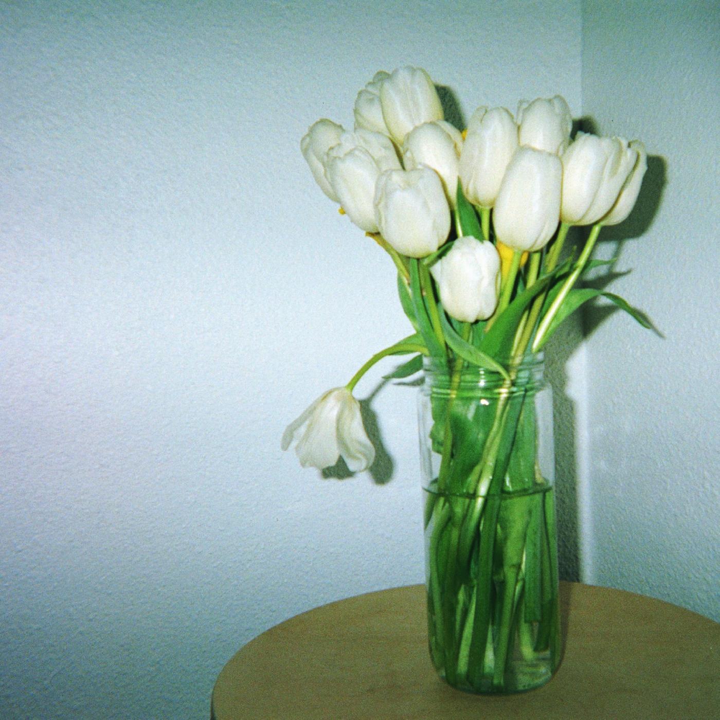 Claire Rousay - Un toque celestial [Vinilo]