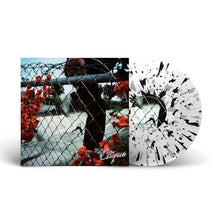 In Lives That Won'T Last [Vinyl]