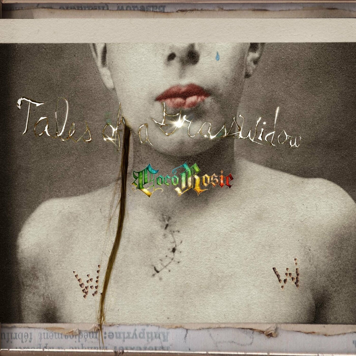 CocoRosie - Cuentos de una viuda de la hierba [Vinilo]