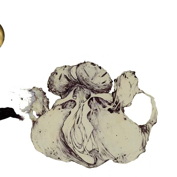 The Ape Of Naples [Vinyl]