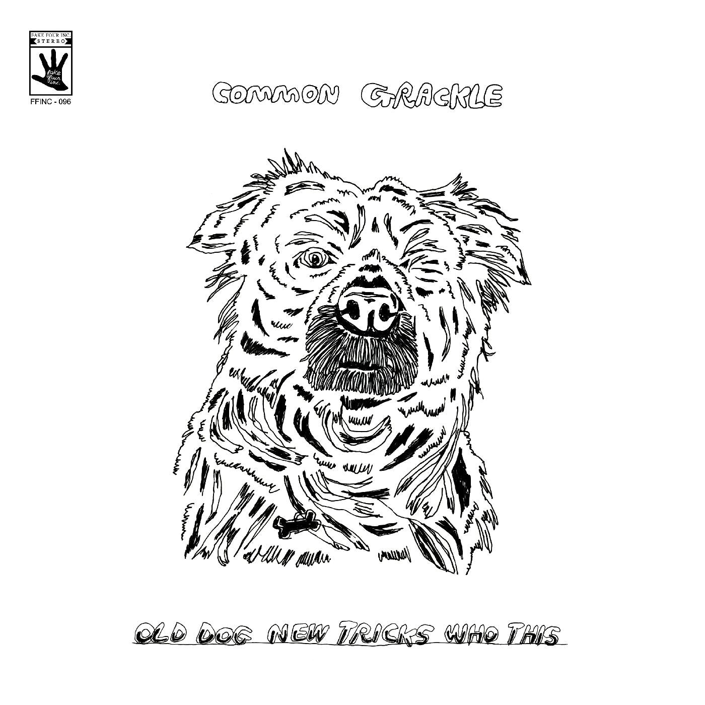 Common Grackle - Old Dog New Tricks Who This [Vinyl] - Paladin Vinyl