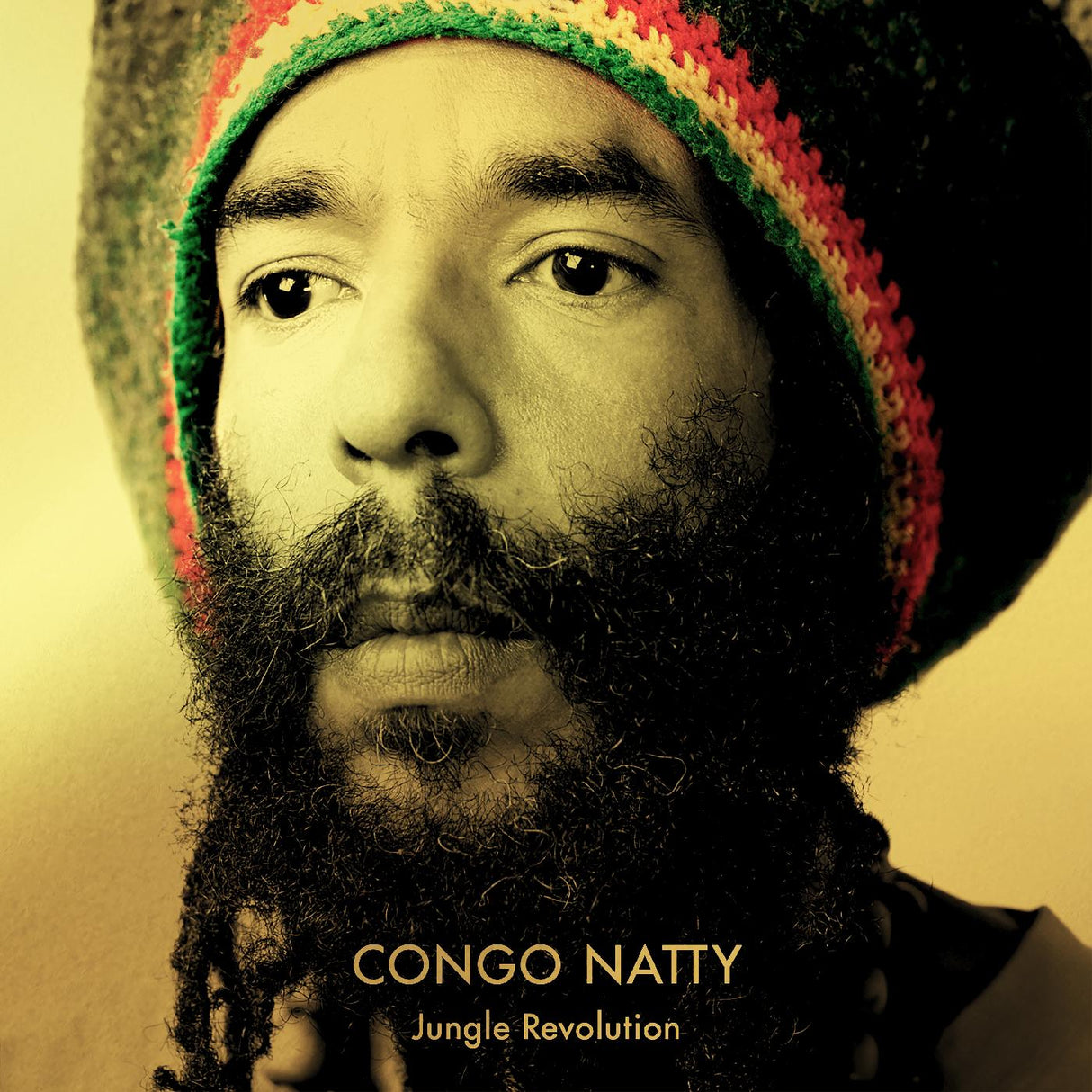 Congo Natty - Jungle Revolution (VINILO AMARILLO Y VERDE) [Vinilo]