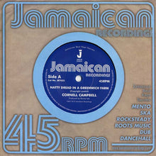 Natty Dread In A Greenwich Farm/Version [Vinyl]