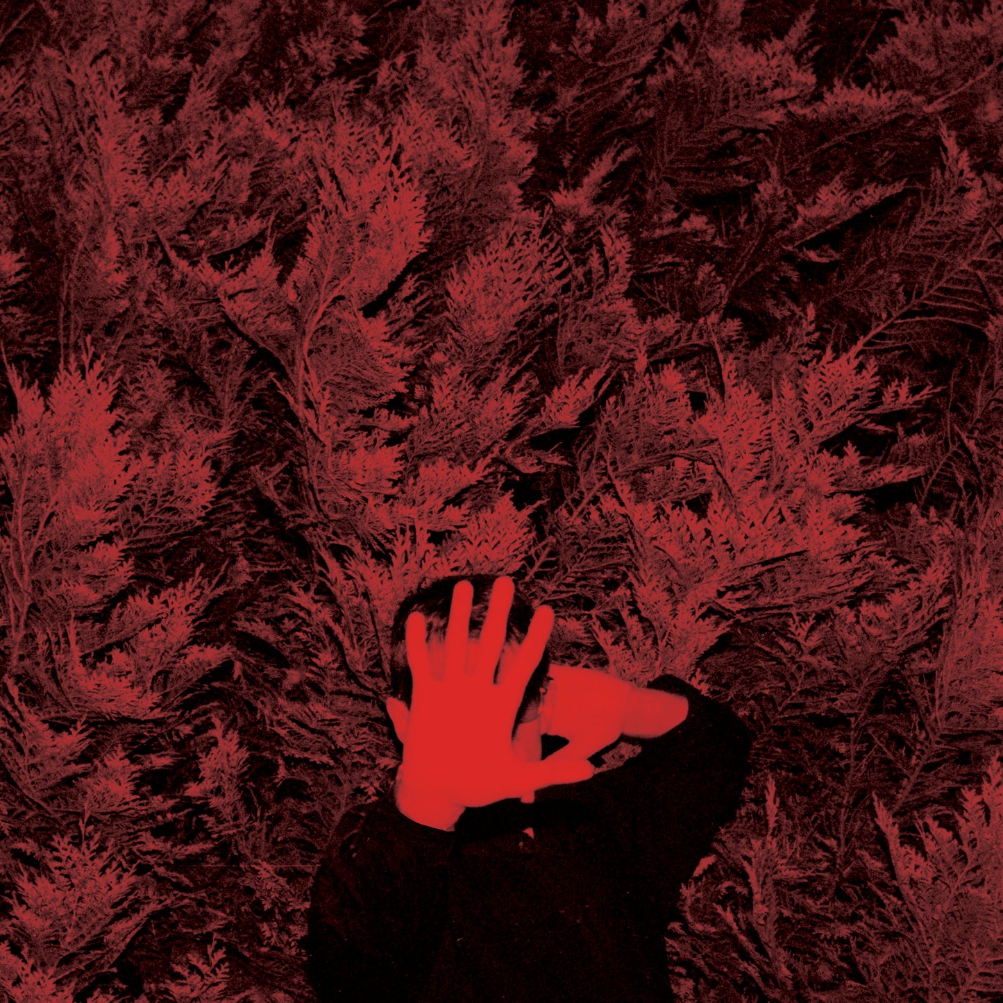 Cory Hanson - The Unborn Capitalist From Limbo [Vinyl] - Paladin Vinyl