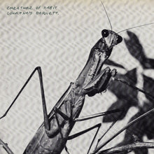 Creature Of Habit (Indie Exclusive Caramel Vinyl) [Vinyl]