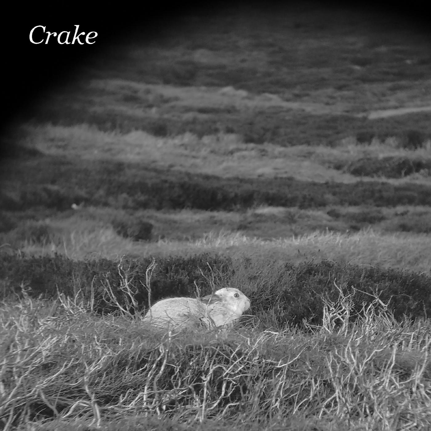 Crake - Enough Salt (For All Dogs) b/w Gef [Vinyl] - Paladin Vinyl