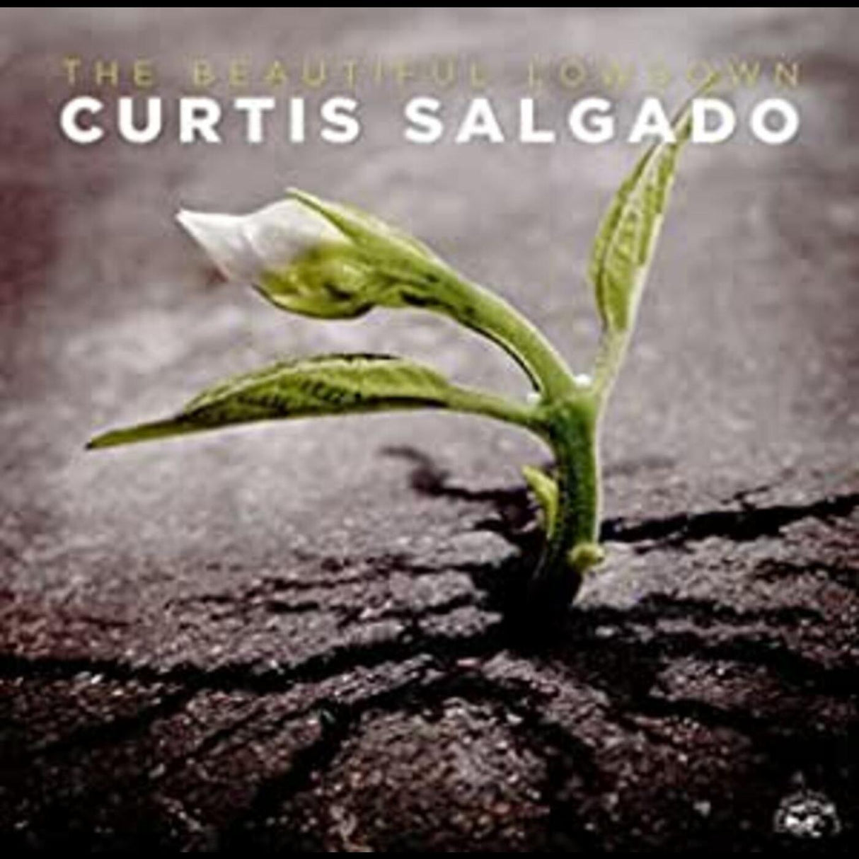 Curtis Salgado - Beautiful Lowdown [CD]