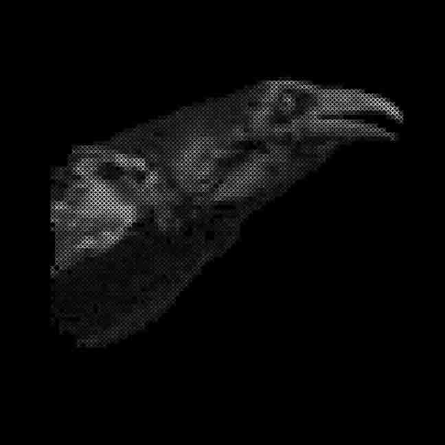 Cut City - Décadas de salida [CD]