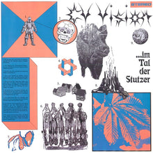 CV VISION - Im Tal der Stutzer [CD]