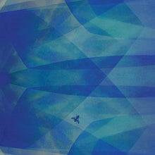 Bluefly [CD]