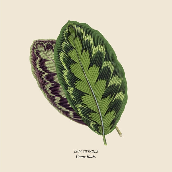Come Back [Vinyl]