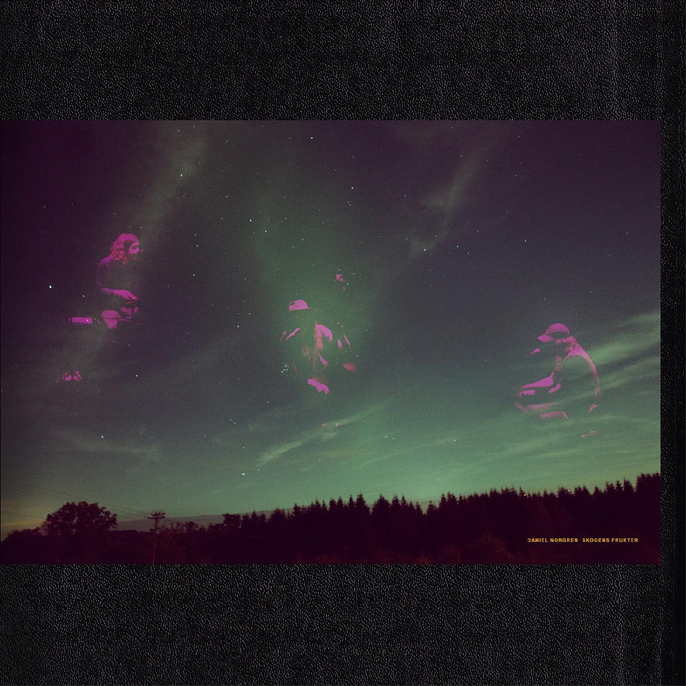 Daniel Norgren - Skogens Frukter [Vinilo]