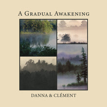 A Gradual Awakening [Vinyl]