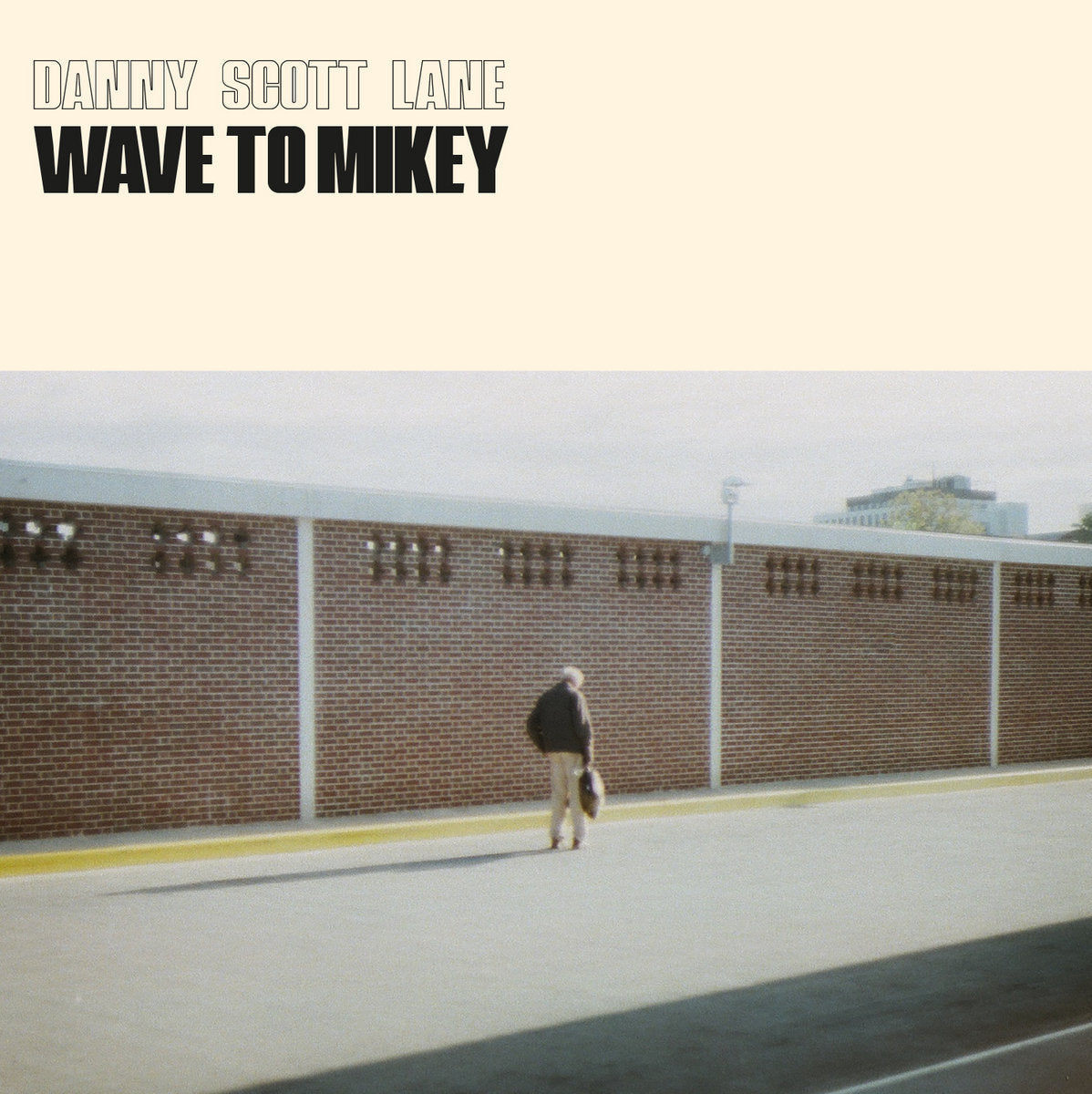 Wave To Mikey [Vinyl]