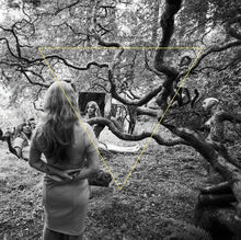 Tender Revolutions [Lp] [Vinyl]