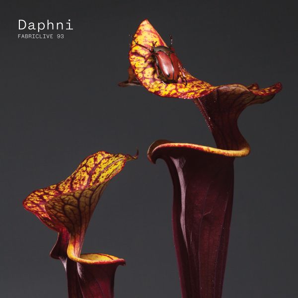 Daphni - Fabriclive 93 : [CD]