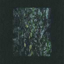 The Walker/Kilter - Remixes [Vinyl]