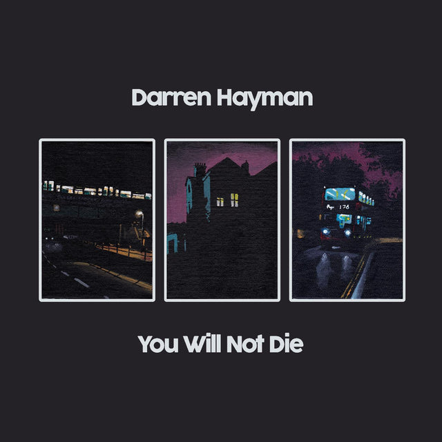 Darren Hayman - You Will Not Die [CD]