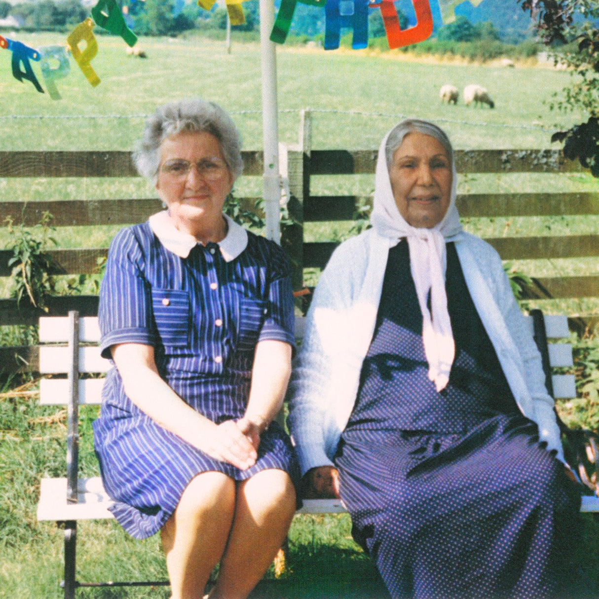 Dauwd - Theory of Colours [CD]