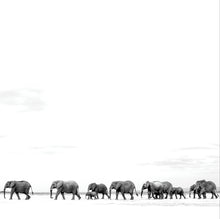 Where Are You Going: The Singles (2LP) [Vinyl]