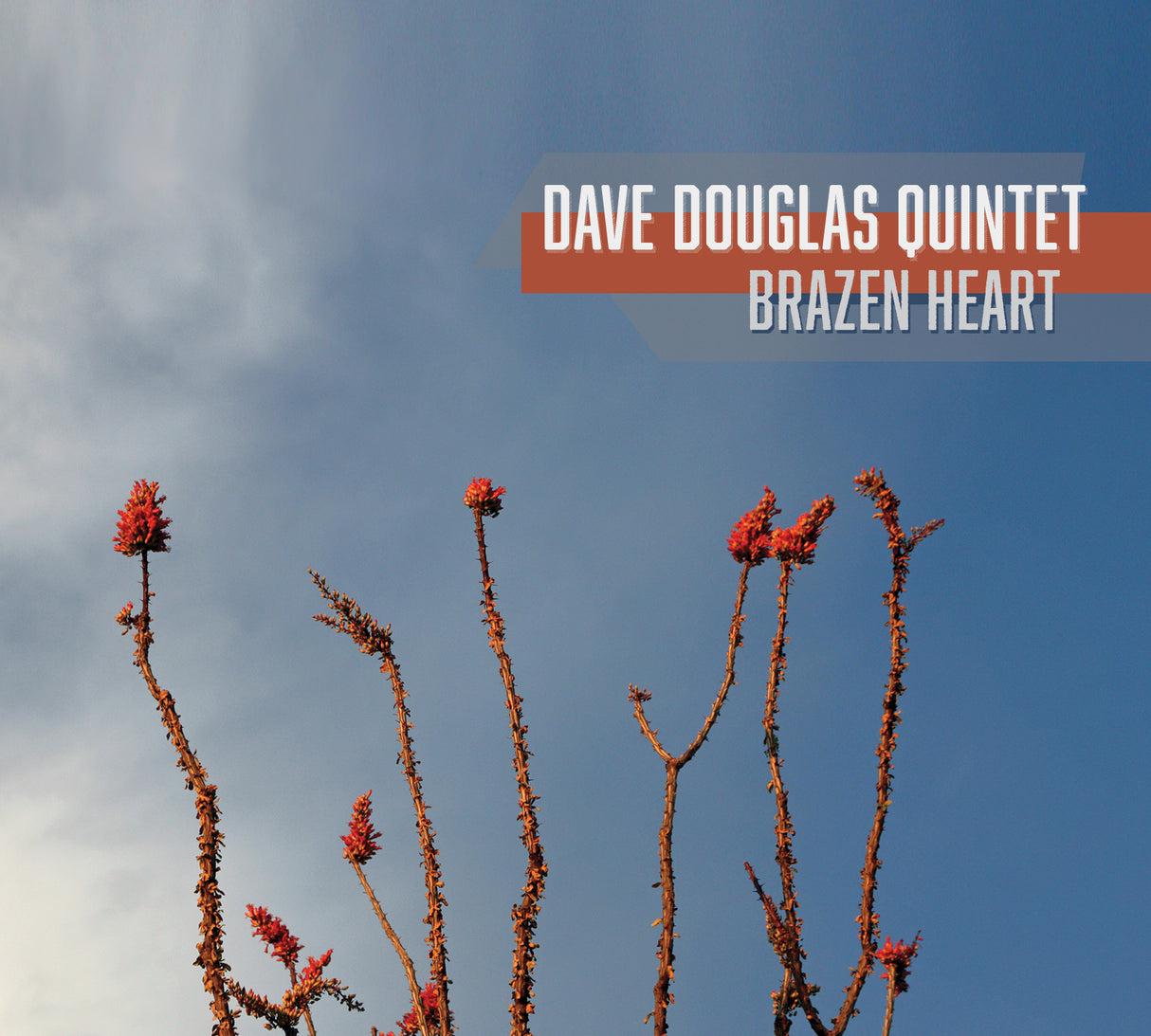 Dave Quintet Douglas - Brazen Heart [CD]