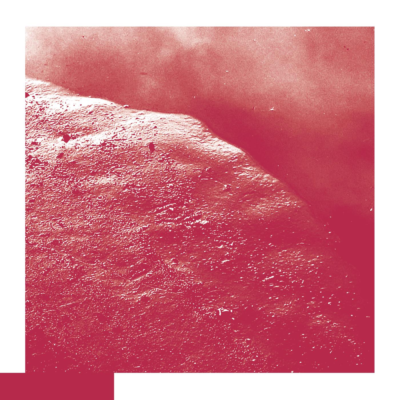 David Allred - The Cell [Vinyl] - Paladin Vinyl