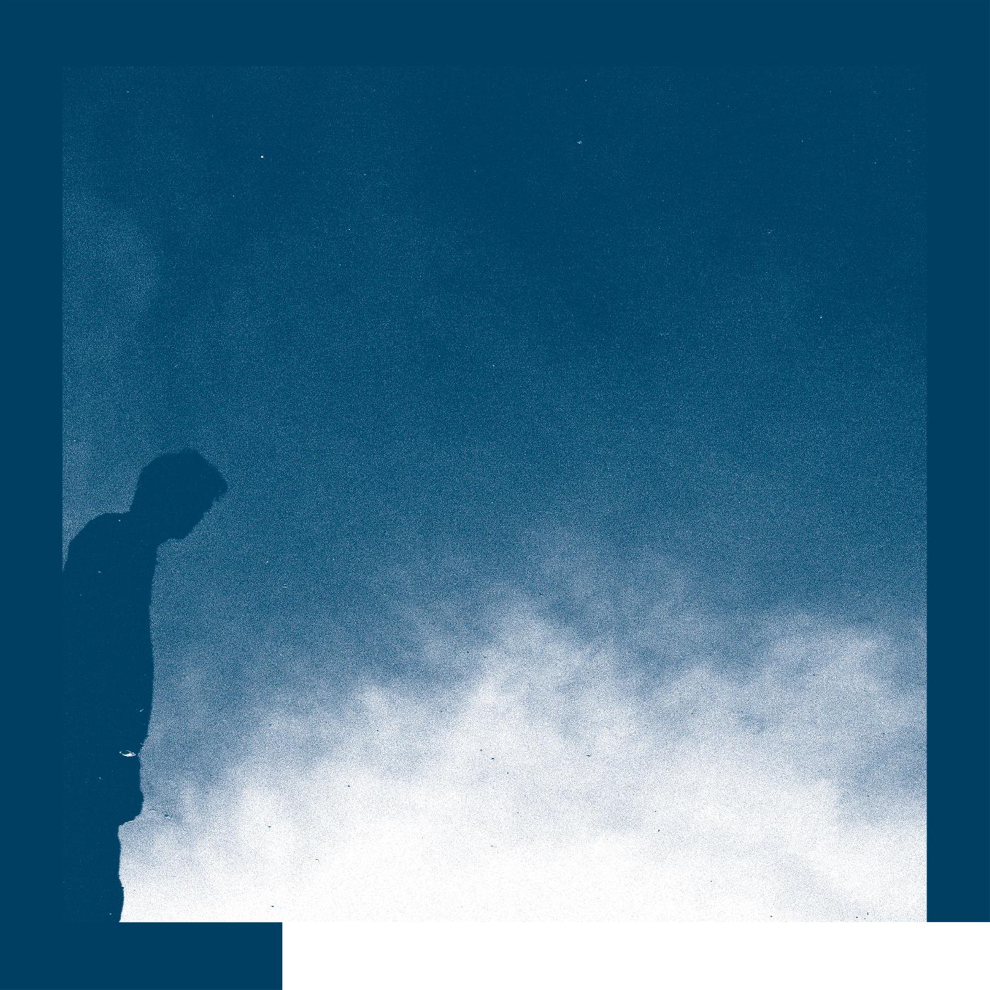 David Allred - La Transición [Vinilo]