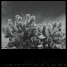 Derek Monypeny And Kevin Corcoran - Abacomancy [LP] [Vinyl]
