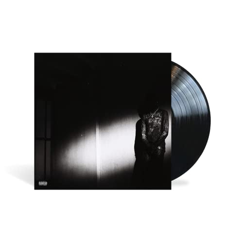 Destruye Lonely - NO STYLIST [LP] [Vinilo]