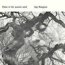 Diana In The Autumn Wind [Vinyl]