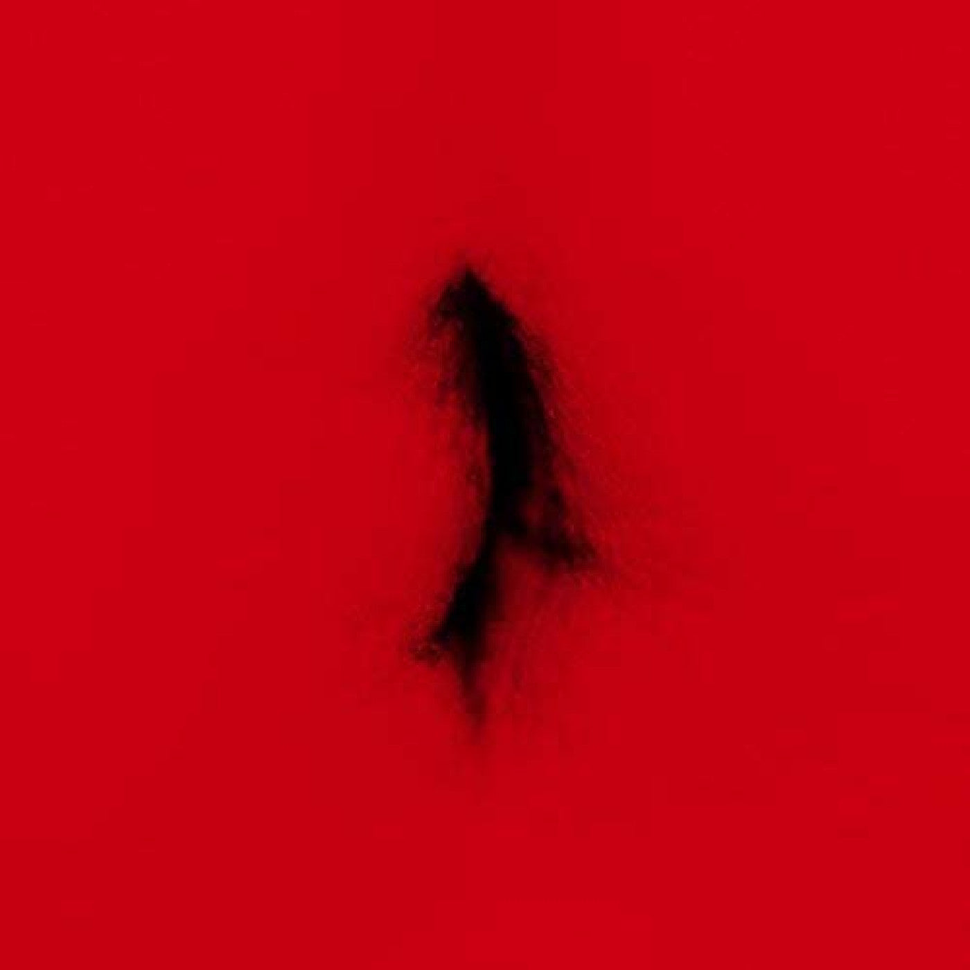 Dingwei - Untied [Vinyl]