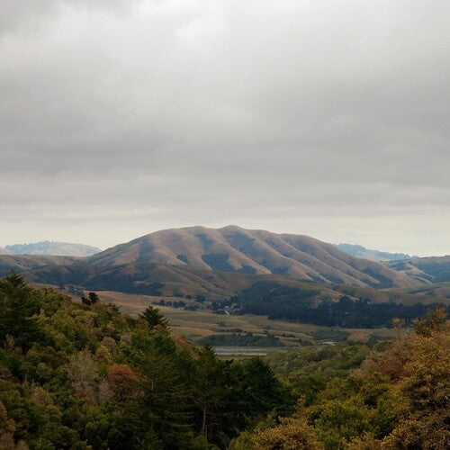 Dirty Projectors / Bjork - Mount Wittenberg Orca (RSD 4.22.23) [Vinyl]