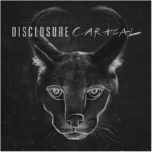 Caracal (10Th Anniversary Edition) [Zoetrope 2LP] [Vinyl]