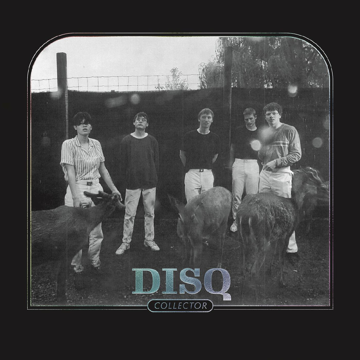 Disq - Coleccionista [CD]