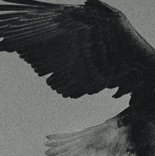 DISSEMBLANCE - Over The Sand [Vinyl]