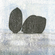 DISTANT ANIMALS - Lines [Vinyl]