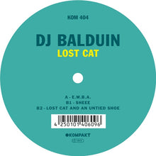 Lost Cat [Vinyl]