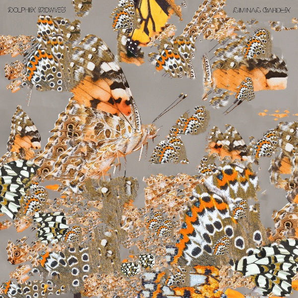 Liminal Garden [Vinyl]