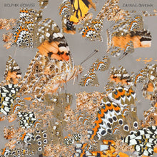 Liminal Garden [Vinyl]