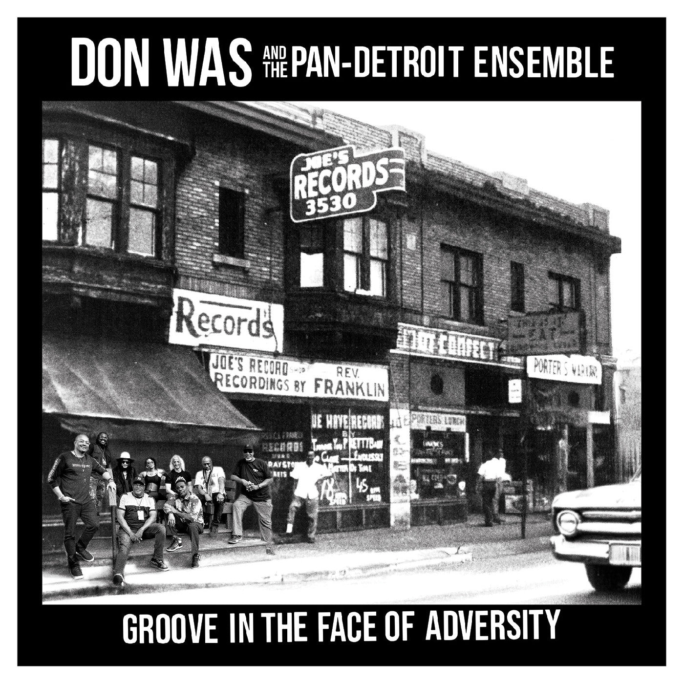 Groove In The Face Of Adversity [Vinyl]