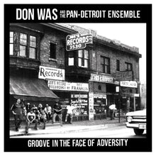 Groove In The Face Of Adversity [Vinyl]