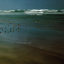 The Forecast [CD]