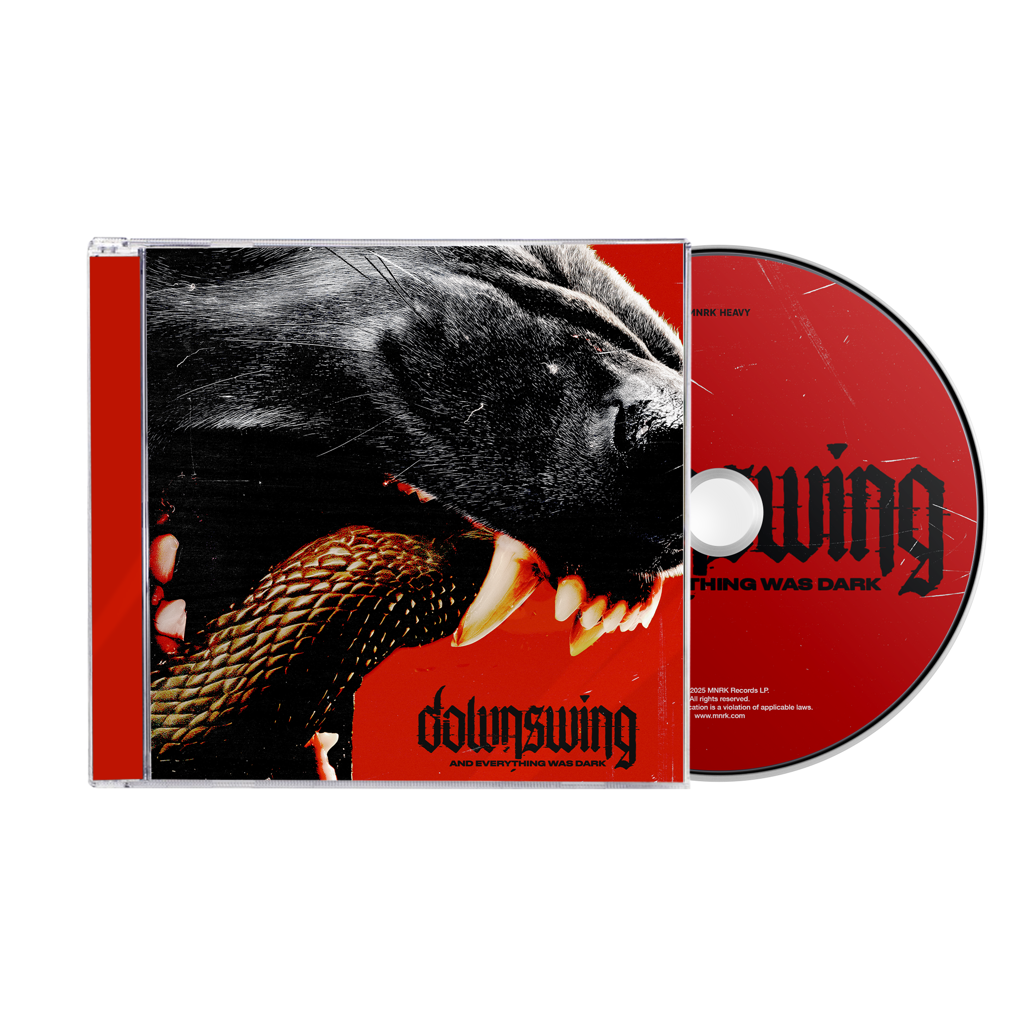 Downswing - And Everything Was Dark CD