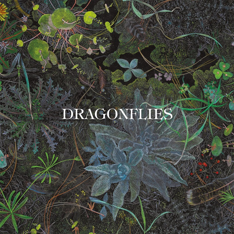 Dragonflies - Dragonflies [LP] [Vinyl]