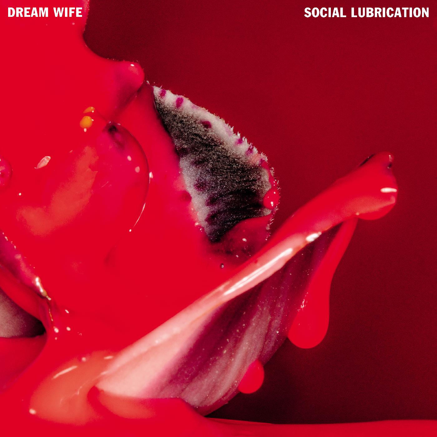 Dream Wife - Lubricación social (VINILO ROJO PROFUNDO) [Vinilo]
