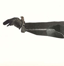 DREAMBOAT - Dreamboat [Vinyl]