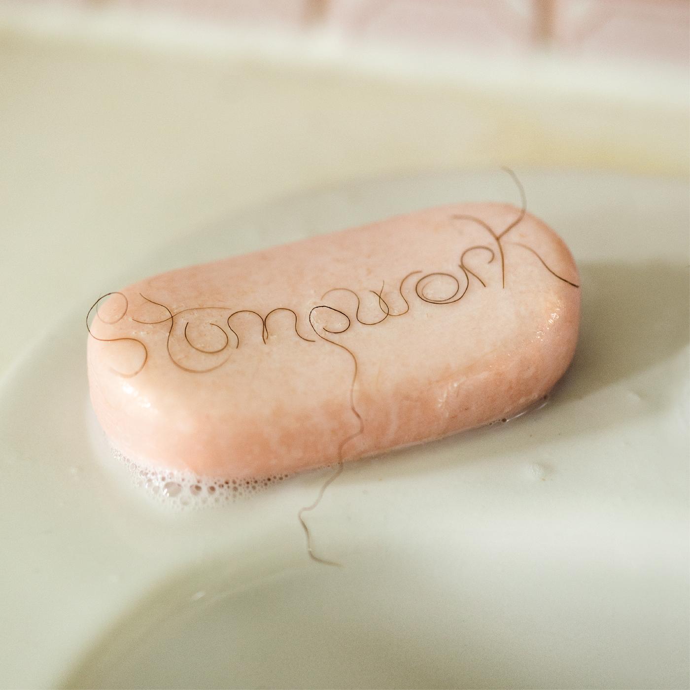 Limpieza en seco - Stumpwork [CD]