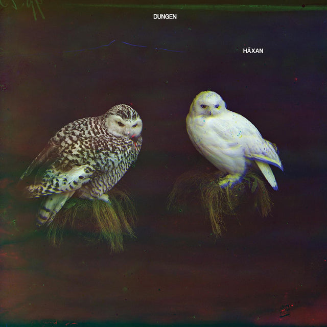 Dungen - H√§xan [CD]