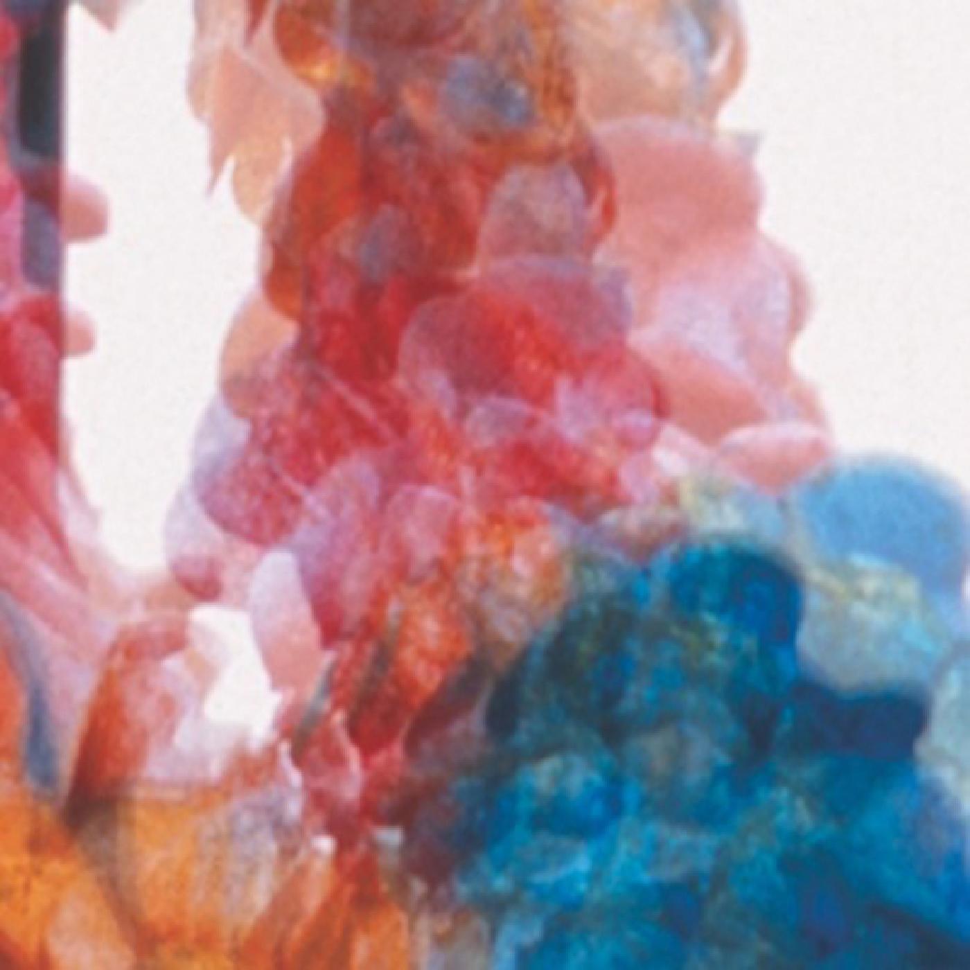 Dungen - Skit I Allt [Vinyl] - Paladin Vinyl